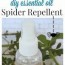 diy essential oil spider repellent