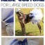 diy r2d2 costume for dogs the dirty