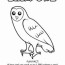 barn owl worksheet education com