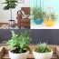 24 diy concrete planter ideas that are