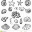 free coloring pages of seashells