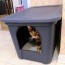 super jumbo litter box for your cat