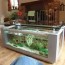 aquarium coffee tables fish care