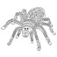 spider coloring pages print or