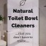 not diy natural toilet bowl cleaner