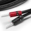 best speaker cables 2022 budget and