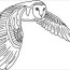 owl coloring pages pdf coloringfile com