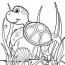 coloring pages sea turtle coloring