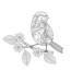 coloring page with small bird on branch