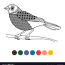 black line doodle bird coloring page