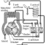 lionel train wiring diagram shop