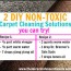 diy carpet cleaning solution archives