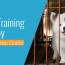8 steps to crate train a puppy fast