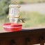 12 diy hummingbird feeder ideas