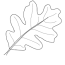 leaves coloring pages 90 free