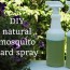 homemade organic mosquito yard spray