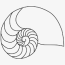 nautilus shell coloring page