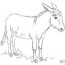 donkey coloring pages to download and