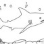 free printable shark coloring pages for