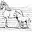 horse and dog coloring pages clip art