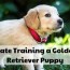 crate train a golden retriever puppy