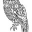 free book owl owls adult coloring pages