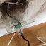 rj45 wall socket wiring issue