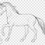 mustang horses pony line art american