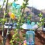 how to make a butterfly feeder my