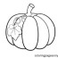 bearded pumpkin coloring pages