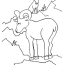 drawing goat 2450 animals