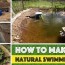 how to make a diy natural swimming pool