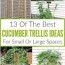 cucumber trellis ideas 13 of the best