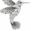 beauty of hummingbird coloring pages