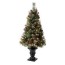 outdoor christmas trees outdoor