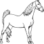coloring pages horse hamle rsd7 org
