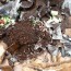 diy worm composting bin plus worm