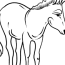 donkey coloring page color online for