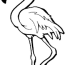 flamingo coloring page for kids free