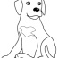 dog coloring page free pluscoloring com