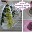 diy butterfly feeder archives paging