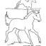horse coloring pages running horses